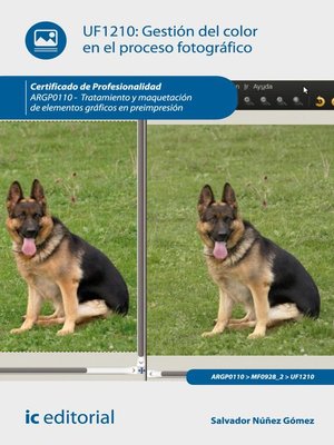 cover image of Gestión del color en el proceso fotográfico. ARGP0110
